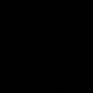 Meet your Posher, Dan